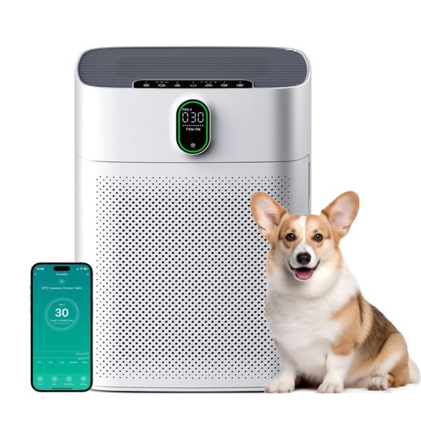 [Brand] Luftreiniger für Raucherzimmer HEPA-Filter CADR 300 m³/h Auto-Modus