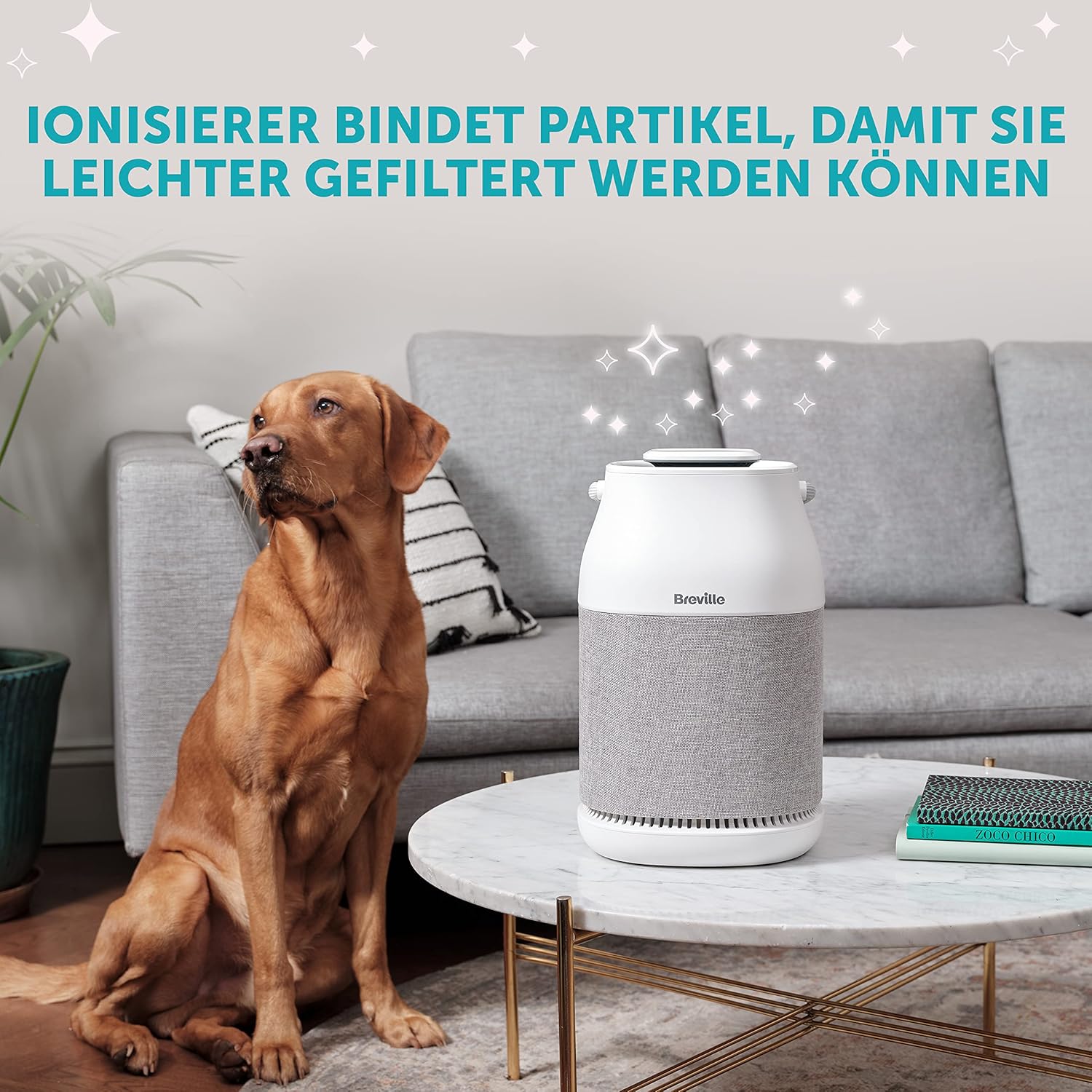 Breville Luftreiniger mit H13 HEPA Filter, 360° Reinigung, Nachtmodus