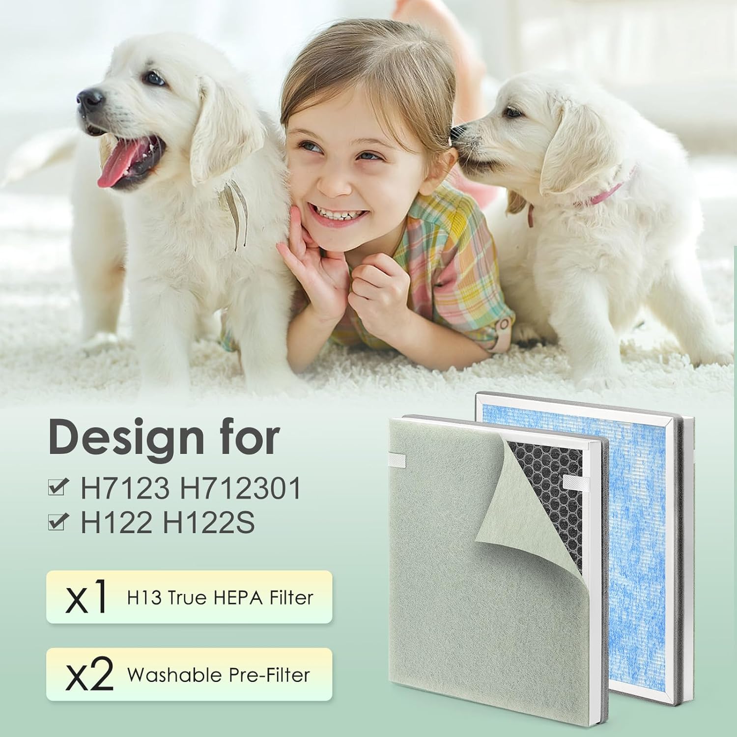 H7123101 Ersatzfilter für Govee Air Purifier, H13 True HEPA, Pack of 1