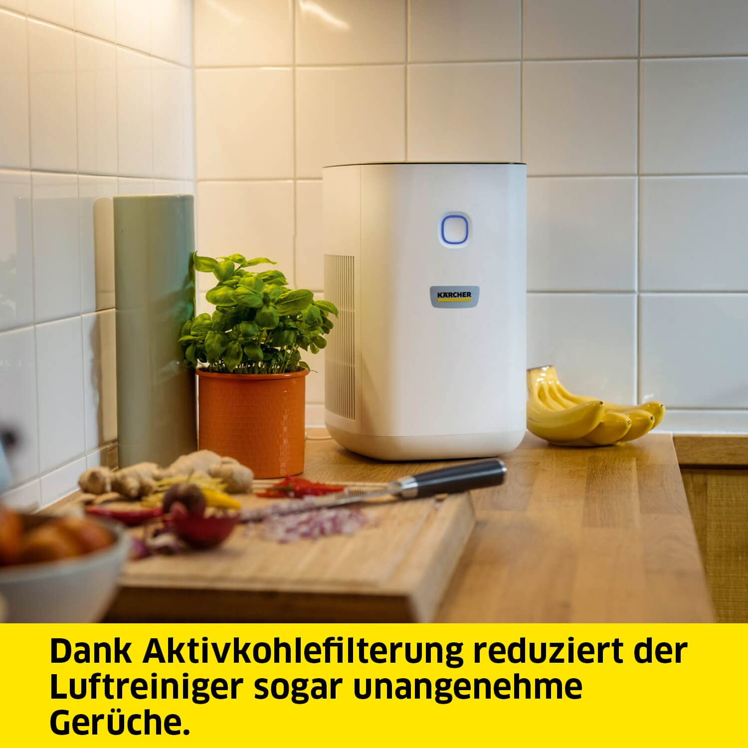 Kärcher Luftreiniger AF 20, 220 m³/h, 99,95% Filterung, Raumgröße 20-40 m²