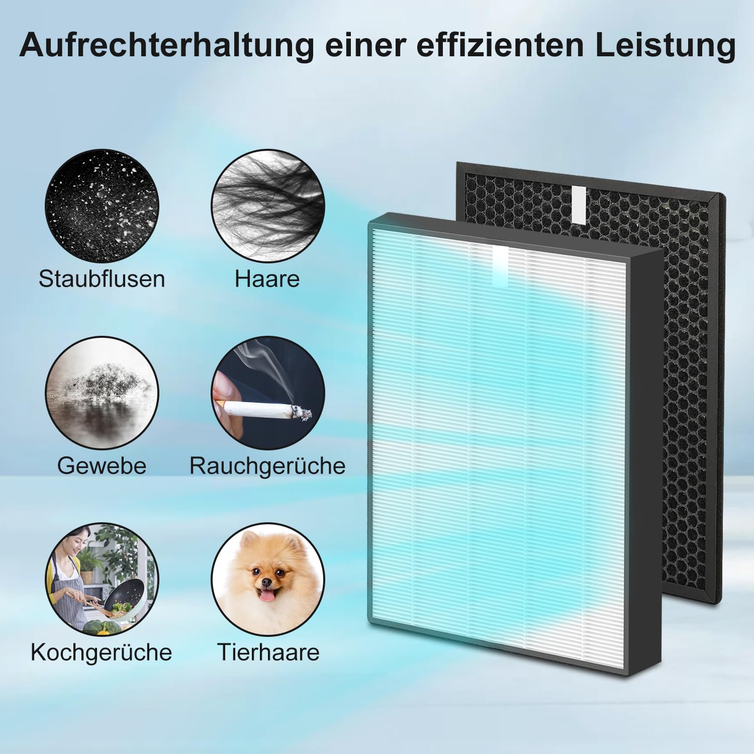 Philips Luftreiniger Filter HEPA Aktivkohle für Series 2000 3000